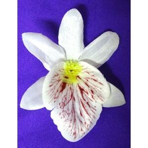 Orchid Flowers Artificial  22  Heads 2 1/2" White and Purple #059